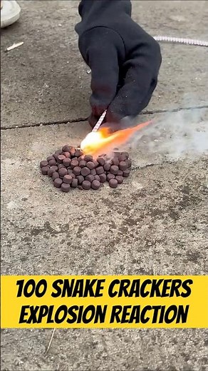 100 Snake Crackers Explosion Reaction | Diwali Bomb Experiment Gone Wild