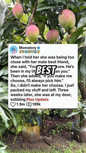 168K views · 3.1K reactions | When I told her she was being too close with her male best friend, she said, you're so insecure. He's been in my life longer than you. Then she added, if you make me choose, I'll always pick him. #reels #askreddit #redditstories #reddit #redditposts #aita #redditstorie | Viral Way 3.5 | Facebook