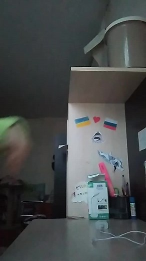 _ _ (@_demonic_flower_110)’s videos with original sound - 🐾Mickeyᶻ 𝘇 𐰁