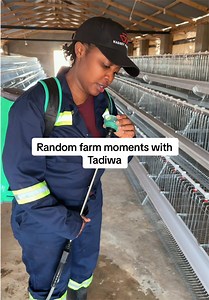 How NOT to Use an Electric Knapsack Sprayer - Farm Lesson