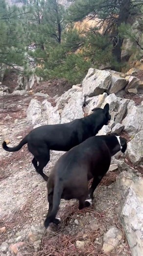Plate shift at the clay mine.