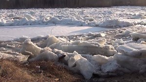 55K views · 392 reactions | When the ice runs the river seems to come alive like a creature that is waking up from a winter nap, taking a big breathe, stretching itself, shaking off the ice of winter. | Tylor Kellys Camps Allagash Maine | Facebook