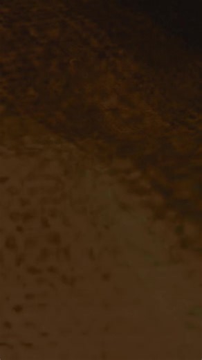 TICKETS ON SALE NOW!!! https://www.municipalwaste.net | Municipal Waste