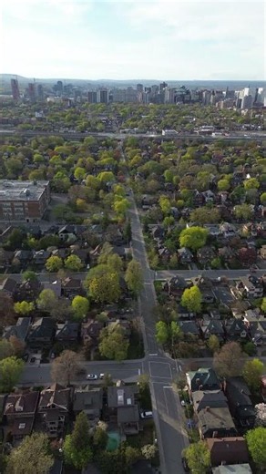 POV: 360 view over The Glebe in Ottawa 🌲🏘️ #shorts