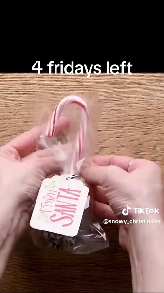 Countdown to Christmas: Celebrating with Snow and Santa