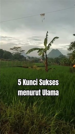 5 Keys to Success According to Scholars #shortvideo #sermon #quotes #advice #prayer #practice #ke...