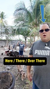 Short Videos To Improve Your Vocabulary | English Lingo