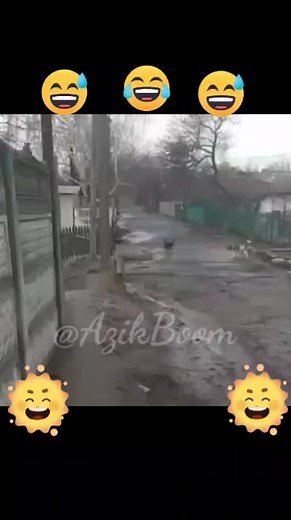 kamoliddin2005 on TikTok