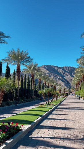 Talk about an entrance 🌴 La Quinta Resort is a beautiful hacienda style resort with 41 pools! We enjoyed our relaxing stay here 😎 #laquinta #laquintaresort #palmsprings #california #resorts #palmspringscalifornia #hotel #travel #traveltiktok #traveling #hotels