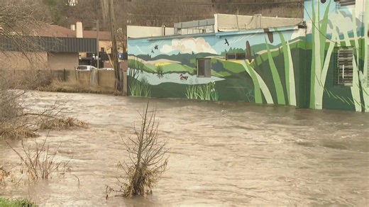 Pullman experienced moderate flooding overnight