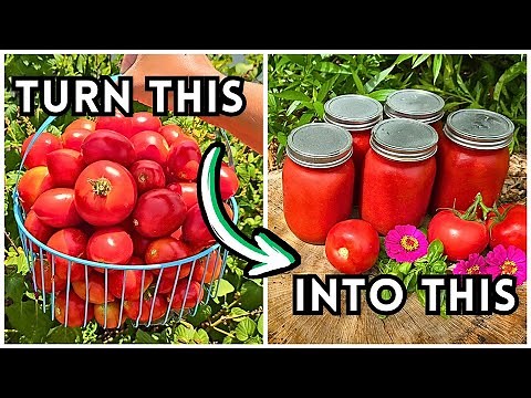 Quick & Easy Homemade Tomato Sauce From The Garden // Automatically Remove Tomato Seeds & Skin
