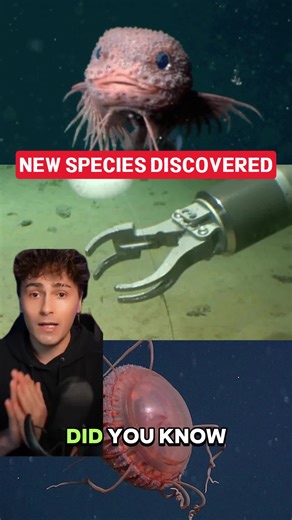 They found 866 NEW specles.. #sclence #TikTokLearningCampalgn