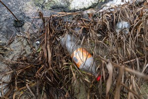 Should Coca-Cola pay for plastic pollution?