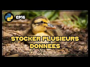 Lists | Python - EP16