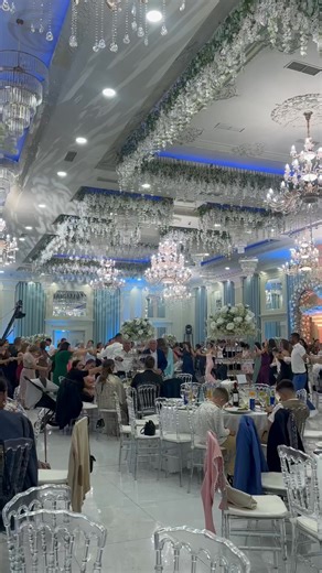 Zef Beka on Instagram