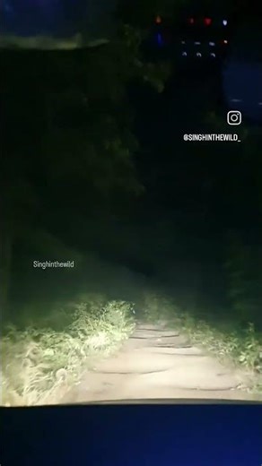 Lost in Uttarakhand Jungle at Midnight | No Signal No GPS | Scariest Drive Ever