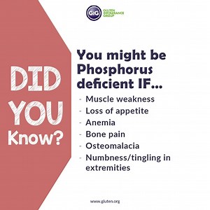 Do you know about the important nutrient phosphorus? Check out the signs of phosphorus deficiency here and see our tips for finding more phosphorus in your diet. Find more information on nutrient deficiencies in our nutrition guide and talk to your doctor if you believe you may have an issue: https://gluten.org/resources/diet-nutrition/the-gluten-free-nutrition-guide/ | Gluten Intolerance Group