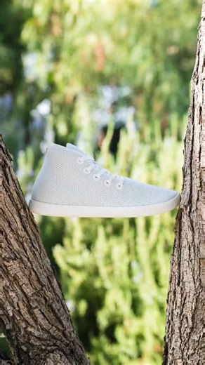 Allbirds ME on Instagram: "The white sneaker lineup of our dreams- Tree Runner Go. Tree Glider. Tree Topper. Courier. Canvas Piper. What’s in your rotation?"