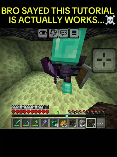 bro Sayed This Tutorial is actually works..#minecraft