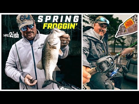 Frogging Early Spring Bass | Timing, Gear and Location‼️