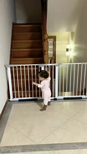 Malla de Seguridad Retráctil para Mascotas y Bebés