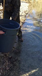 The trout have arrived and are ready for your fishing. | Guadalupe River State Park - Texas Parks & Wildlife
