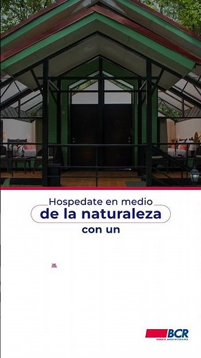 Conectá con la magia del bosque en un entorno natural único, gracias a los beneficios Boom del BCR