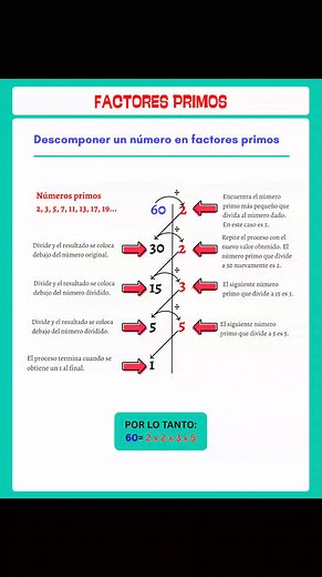 MCM Y MCD | Salvador Timoteo