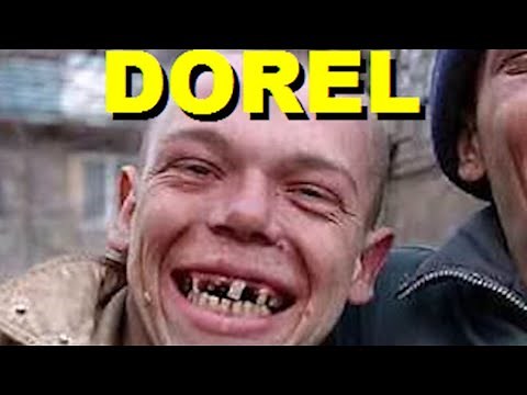 Faze comice 😄 Dorel 😄 Incearca sa nu razi 😄 Mori de ras 😄 Pisici amuzante 😄 Citeste descrierea