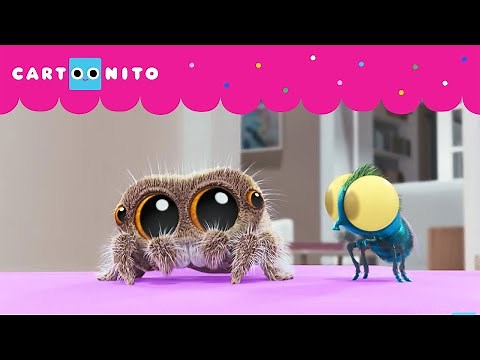 Cuidando La Casa | La Araña Lucas | Cartoonito