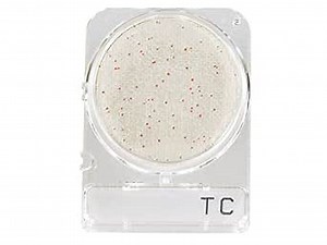 CompactDry™ TC (Total Count -Bacterial). Microbial Testing, AOAC Approved 010404, 240 Plates per Pack, by Hardy Diagnostics