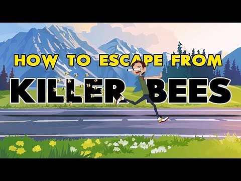 How to Survive a Killer Bee Attack || Escape from Killer Bees