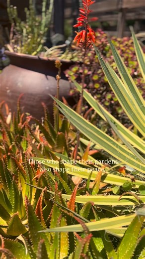 A mindful space creates a mindful spirit. Create calm in every corner. 🍃 | Studio Bridges