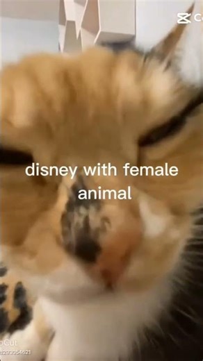 I miss their hand drawn animations #disney #viral #shorts #video #fyp