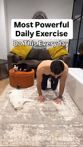 19K views · 607 reactions | The bird dog exercise improves core stability, balance, and coordination while strengthening the lower back, glutes, and shoulders. It’s great for posture and injury prevention. SUBSCRIBE to my Instagram!#homeworkout #fitnessmotivation #beginnerworkout | Thefitchampion | Facebook