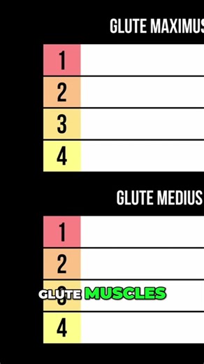 Best Glute Exercises: Science-Backed Ranking Revealed! #shorts