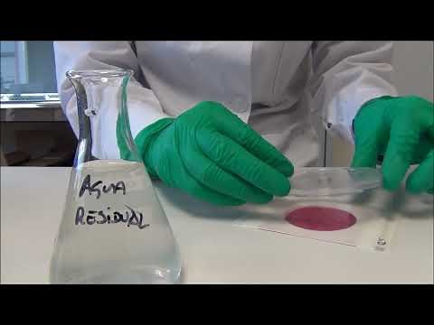 Laboratorio de Análisis Microbiológico de Agua: Parte 6 Placas Petrifilm 3M