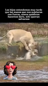 Sandra L. Castro on Reels