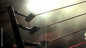Professional Wrestling / Boxing Ring Ropes Lit up with Stage Lights