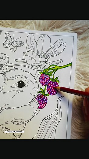 Tutorial 🫐 , How to color Berries in coloring books 😍 Struggling to color berries without making them look flat? 🫐😩 In this reel I’ll show you how to add realistic depth, shine, and texture using simple layering blending techniques ✨ Save this tutorial if you want to level up your coloring skills! 🎨🔥👩🏻‍🎨 #tutorial #howto #coloring #coloringbook #relaxing #relax #viralreelschallenge #prismacolor #artist #art #artgallery #adultcoloringbook #Berry #coloringtherapy #colours #adultcoloringbo