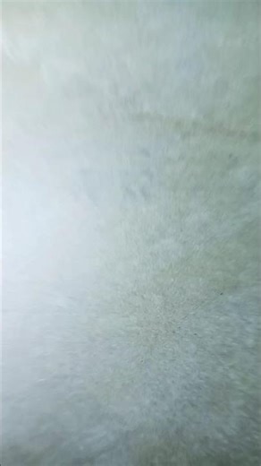 hazrat Ali Karim Raji Allah Tala in