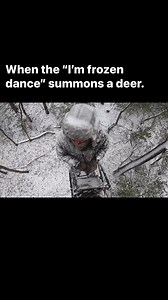 964K views · 26K reactions | Summon deer with the frozen dance. #grandviewoutdoors #whitetail #whitetailhunting #deer #deerhunting #survival #coldweather #bowhunting #archeryhunting #lateseasonbow #archery #archeryhunting #deerseason #bowseason | Grand View Outdoors | Facebook
