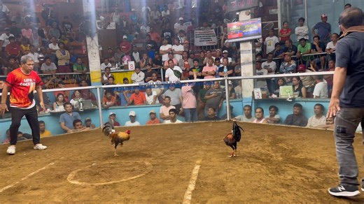 Max Andrew Mercado on Reels