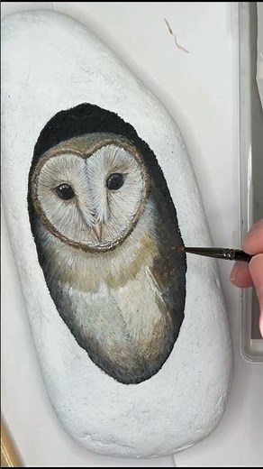 Painting a Barn Owl on a Rock | Wildlife Rock Art