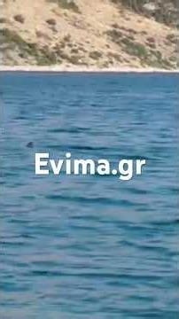 Καρχαρίας στη Βοιωτία
