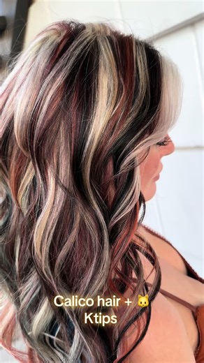 Stunning Calico Hair Transformation with K Tips