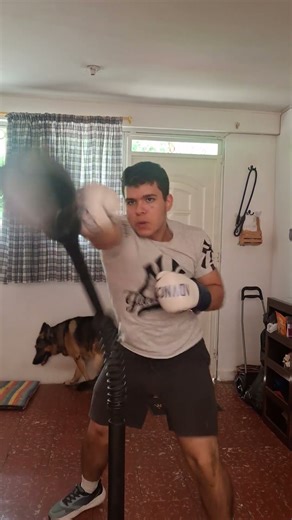 Reflex cobra bag work 10-16-25 #boxing #kingboxer