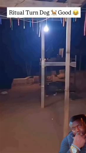 Zaka Sulu🇬🇲🇸🇪 🦅🦍 on Instagram: "😂😂😂"