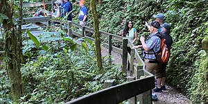 Jennifer Perez shares experience of Costa Rica tour