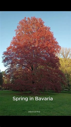 Exploring Bayreuth in Spring | Calm Travel Moments